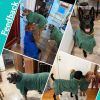 Green  Bata De Baño De Microfibra Para Perro, Toalla Súper Absorbente Para Perro, Bata De Baño Para Cachorros, Perros Medianos Y Grandes